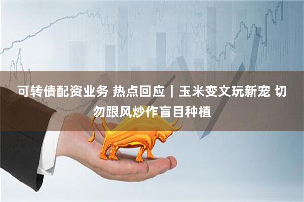 可转债配资业务 热点回应|玉米变文玩新宠 切勿跟风炒作盲目种植